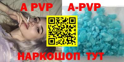 гашик Будённовск