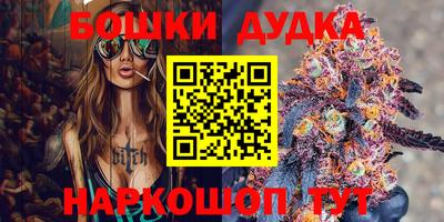 гашик Будённовск