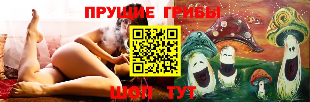 где купить наркотик  Вход с VPN  Галлюциногенные грибы Psilocybine cubensis  Самара  Галлюциногенные грибы Psilocybe 